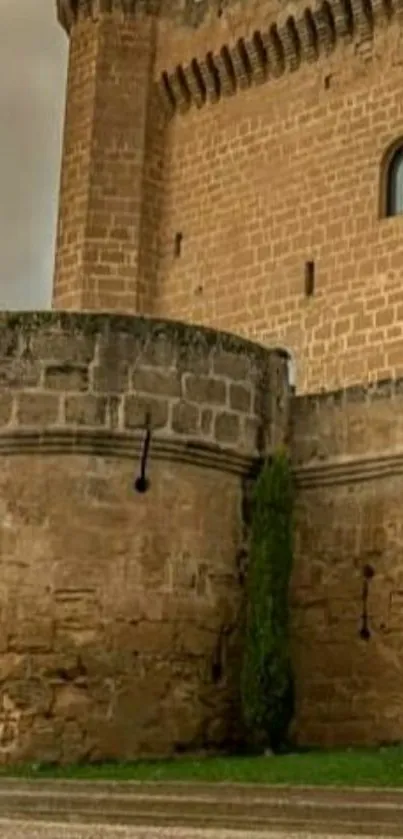 Medieval stone castle with lush greenery in foreground.