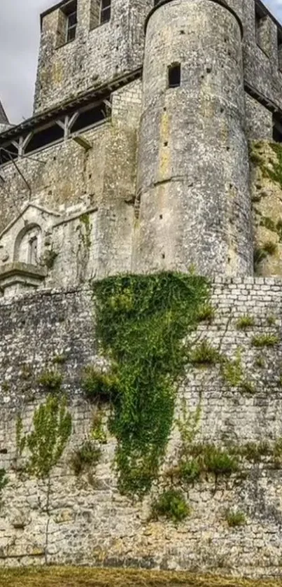 Medieval stone castle with lush greenery on ancient walls.