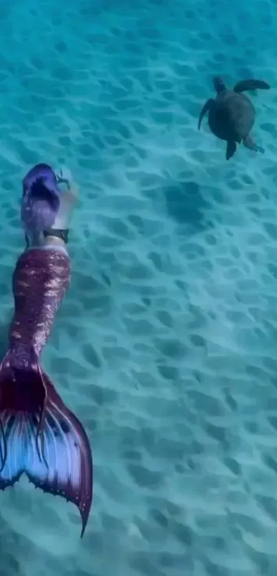 Mermaid and sea turtle swimming in clear aqua waters.