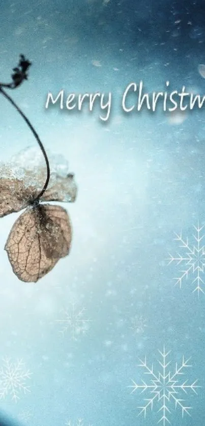 Merry Christmas wallpaper with snowflakes and blue background.