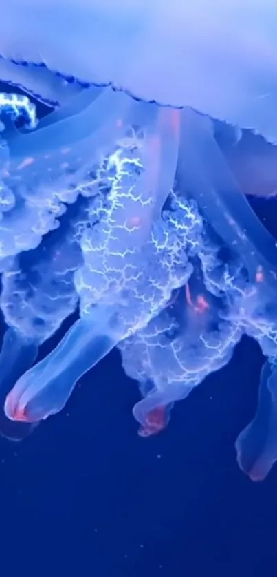 Bioluminescent jellyfish glows in dark blue ocean scene.