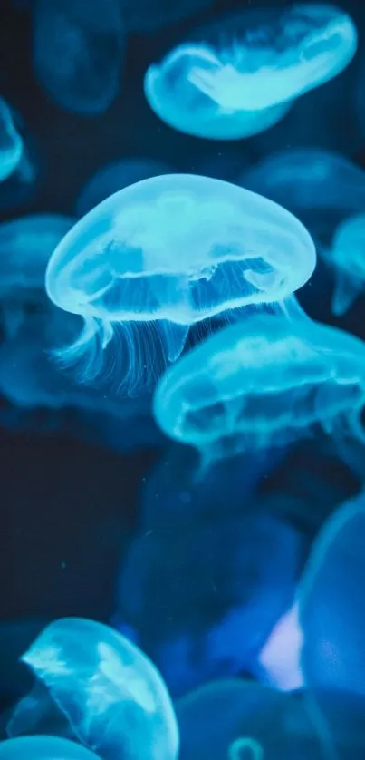 Mesmerizing blue jellyfish floating underwater in vibrant colors.