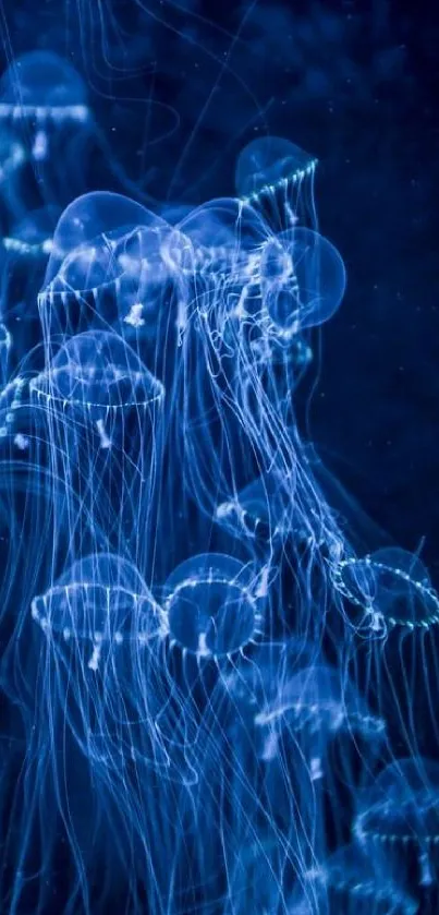 Illuminated jellyfish float in a deep blue ocean, creating a captivating scene.