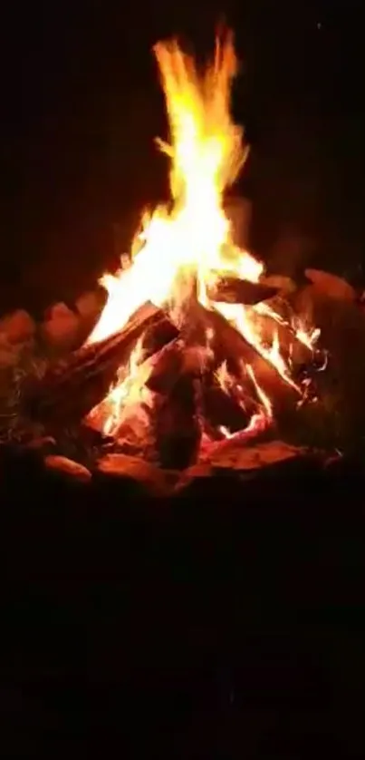 A mesmerizing campfire blazing at night, showcasing vivid orange flames.