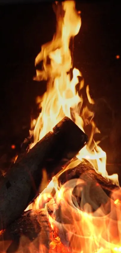 Vibrant campfire flames and burning logs.