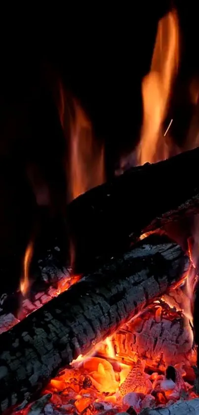 Close-up of a campfire with orange flames.