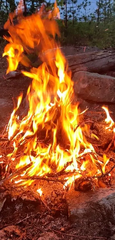 Vibrant orange campfire in a forest setting, ideal for mobile wallpaper.