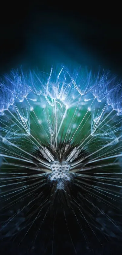 Glowing dandelion with blue and green hues on a mobile wallpaper.