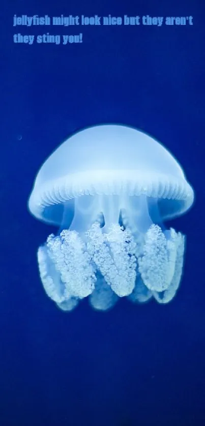 Glowing jellyfish in deep blue ocean wallpaper.