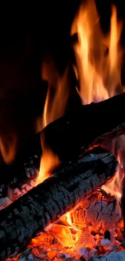 Close-up of vibrant fire flames and embers.