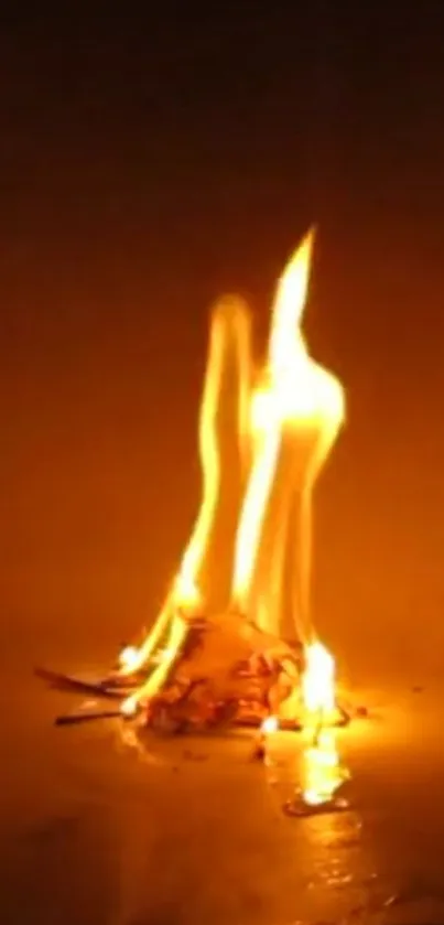 Mesmerizing flames create dynamic fire art with a warm amber glow.