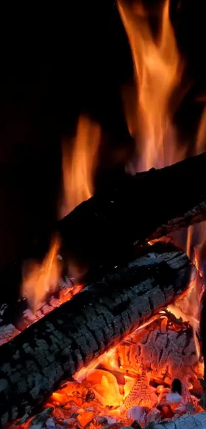 Vivid bonfire blazing with glowing embers and dark wood logs.