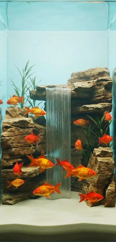 Vibrant aquarium with goldfish and rocks.