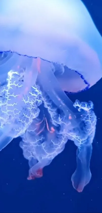 Glowing blue jellyfish in tranquil ocean setting.