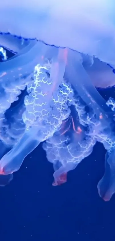 Ethereal jellyfish floating in a deep blue ocean, showcasing delicate tendrils.