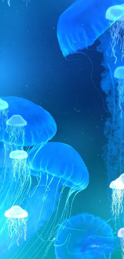 Mesmerizing glowing jellyfish in ocean wallpaper.