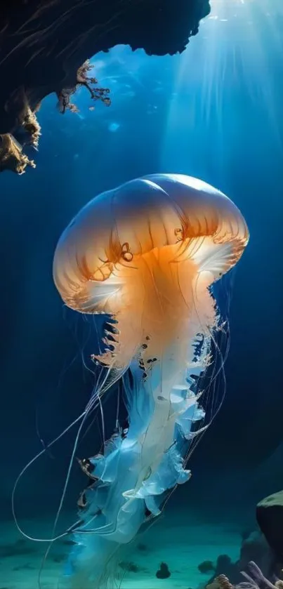 Glowing jellyfish in an underwater cave.