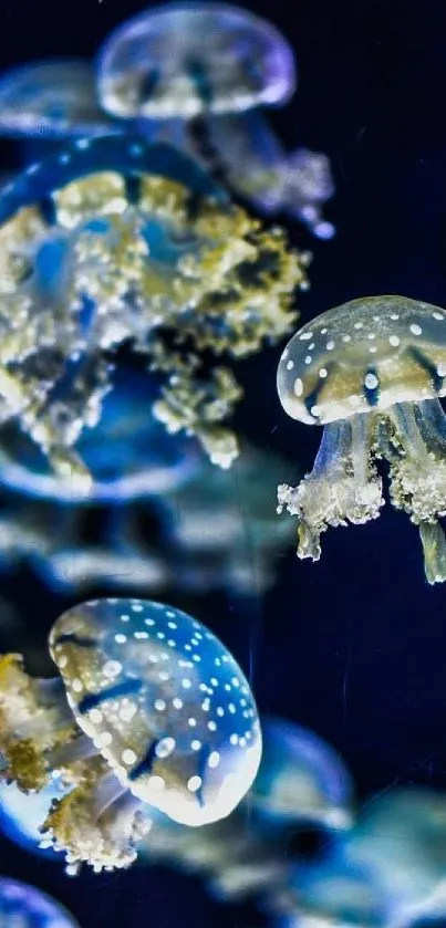Mesmerizing jellyfish floating in a deep blue underwater scene.