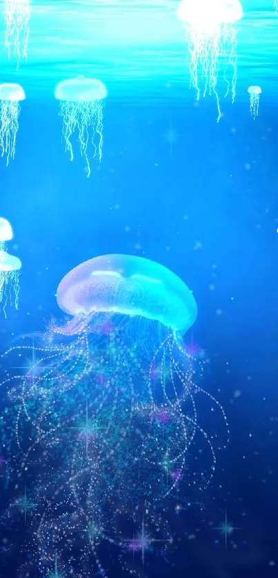 Glowing jellyfish in a deep blue ocean wallpaper.