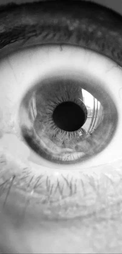 Monochrome close-up of a detailed human eye.