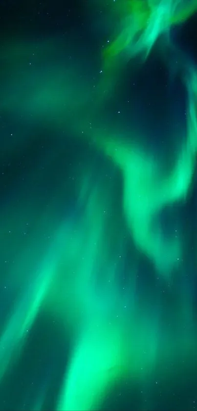 Vibrant green aurora borealis lighting up the night sky.