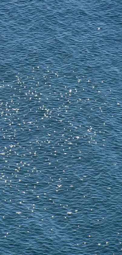 Calm ocean waves with sunlight reflections in blue waters.