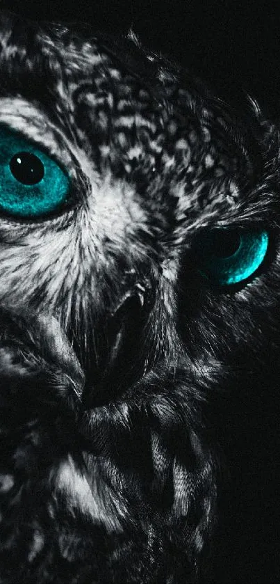 Close-up of owl with striking teal eyes on dark background.