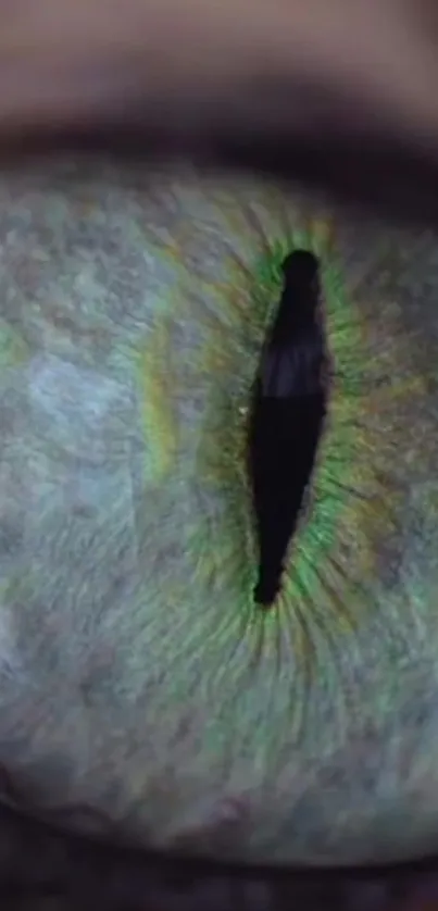 Close-up of a vibrant reptile eye with green hues and detailed texture.