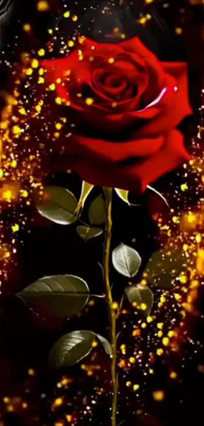 Red rose with glowing sparks on black background.