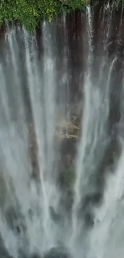 Calming vertical waterfall with lush greenery.