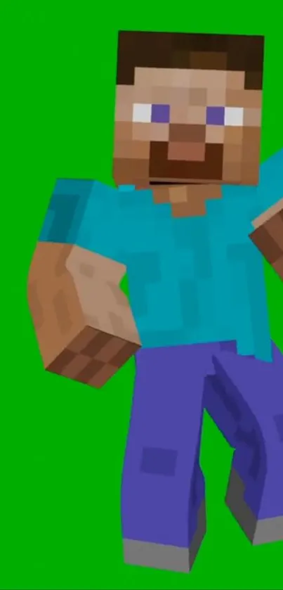 Pixelated Minecraft character on green background.