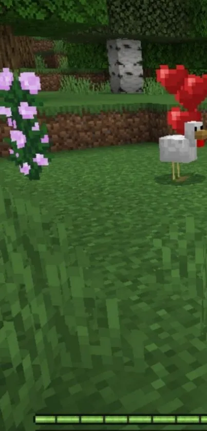 Minecraft wallpaper with chicken and hearts on green grass.