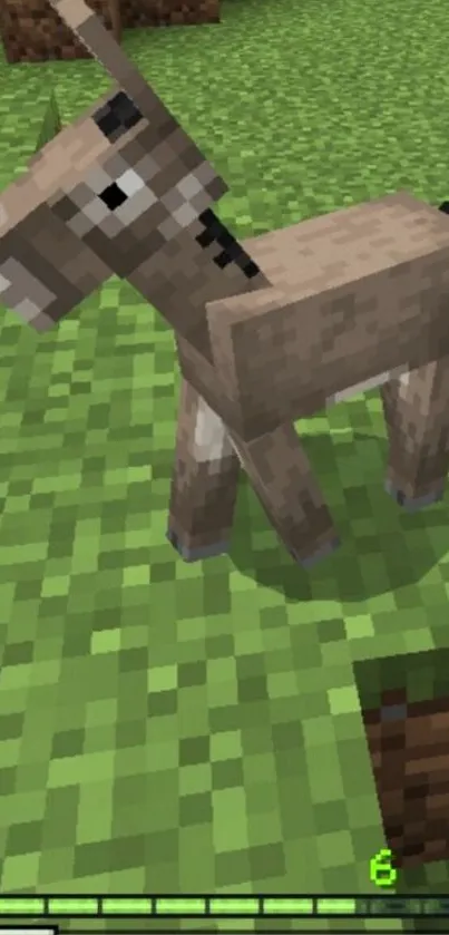 Minecraft donkey standing on green grass in a blocky style background.