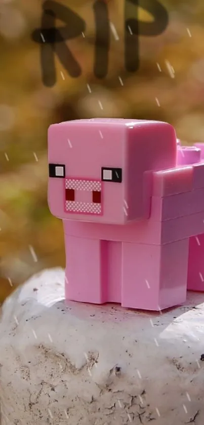 Minecraft pig in the rain on a tombstone.