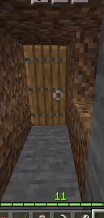 Minecraft tunnel scene with wooden door.