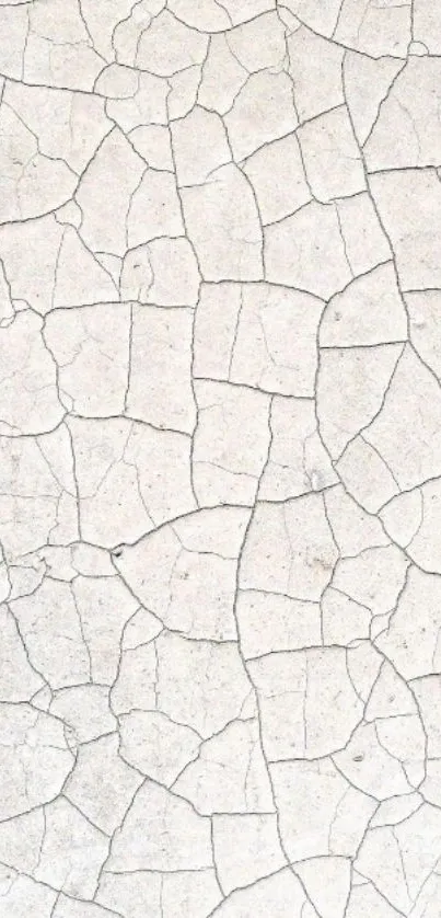 Light gray cracked texture wallpaper for mobile background.