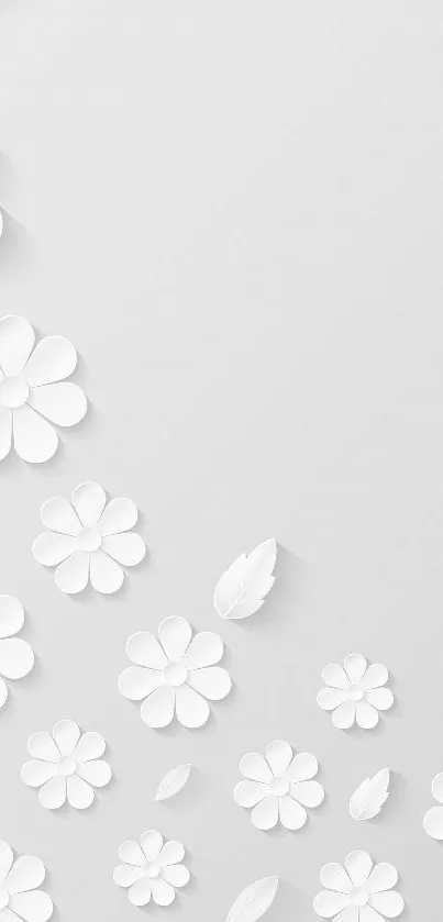 Minimalist wallpaper with white paper flowers on a light gray background.