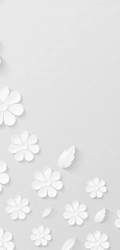 Minimalist wallpaper with white flowers and leaves on a light gray background.