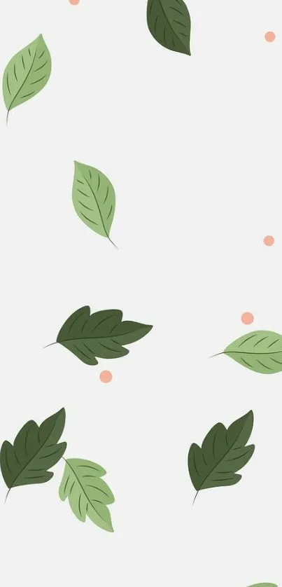 Minimalist wallpaper with green leaves on a white background.