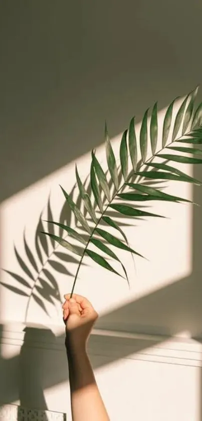 Hand holding a leafy branch casting a shadow on a wall with earthy tones.