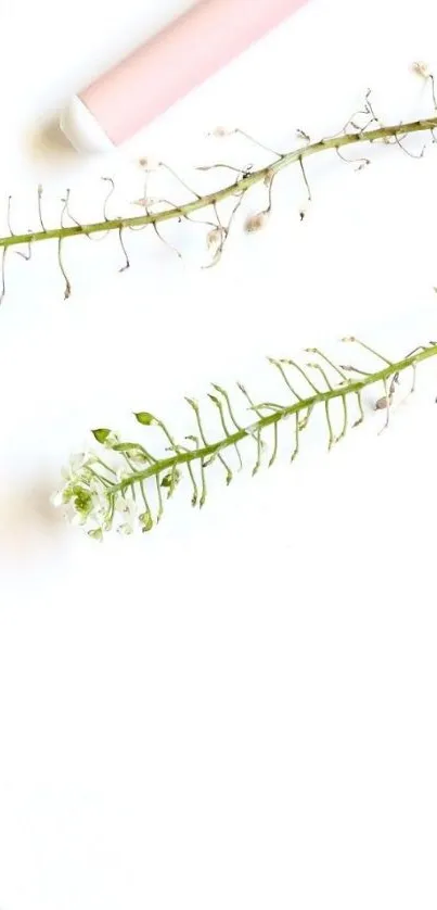 Minimalist wallpaper with green stems on white background.