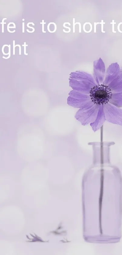 Purple flower in a glass vase with an inspirational quote.