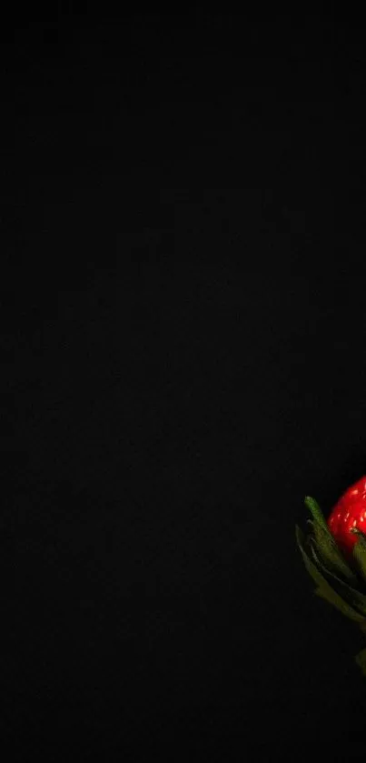 Minimalist wallpaper with strawberries on black.