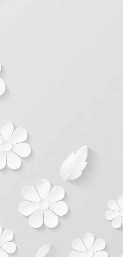 Minimal white floral wallpaper with paper flowers on light gray background.