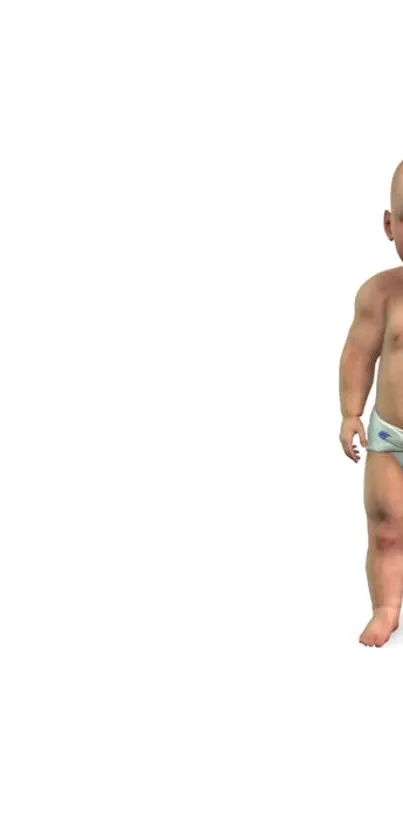 Minimalist wallpaper of a baby in a diaper on a white background.