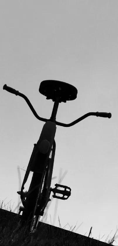 Silhouette of a bicycle against a grayscale sky in minimalist style.