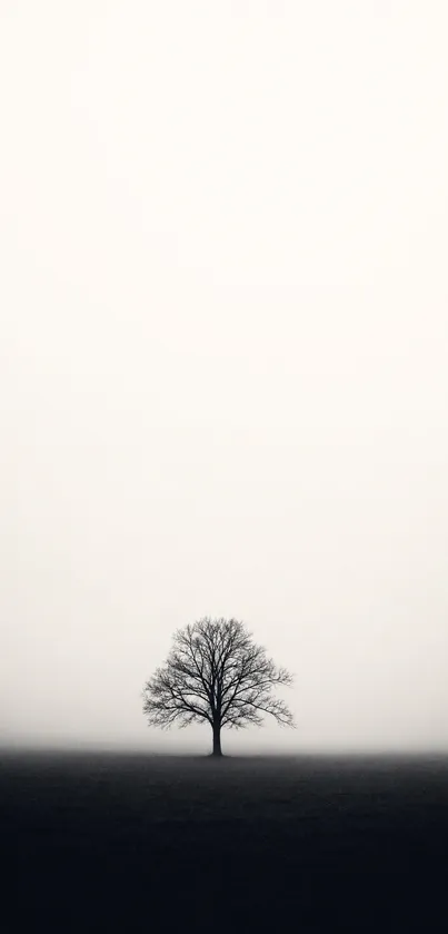 Minimalist black and white wallpaper with a lone tree.