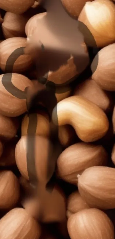 Brown nuts minimalist mobile wallpaper with organic design.