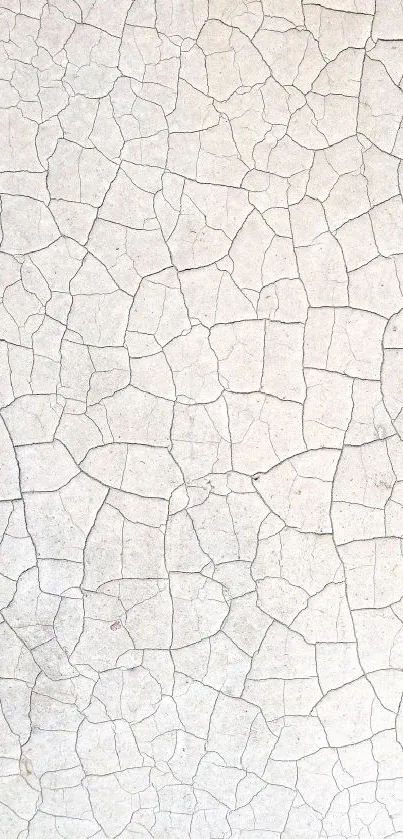 Cracked earth texture wallpaper in beige tones.