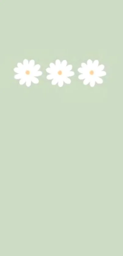 Minimalist wallpaper with daisies on pale green background.